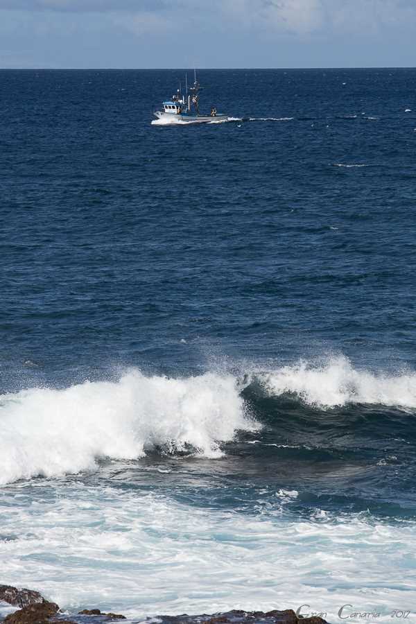 DSC4184